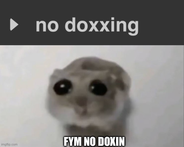FYM NO DOXIN | image tagged in sad hamster | made w/ Imgflip meme maker