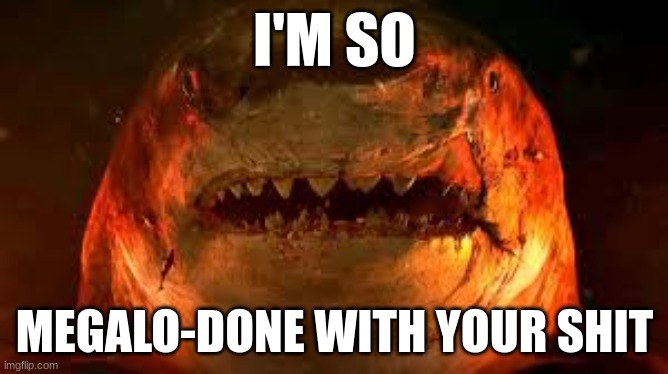 Megalo-done | I'M SO; MEGALO-DONE WITH YOUR SHIT | image tagged in shark | made w/ Imgflip meme maker
