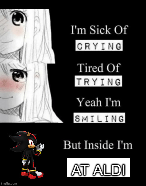 I'm Sick Of Crying | AT ALDI | image tagged in i'm sick of crying | made w/ Imgflip meme maker