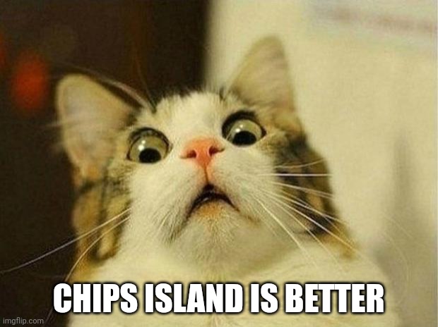 OMOR | CHIPS ISLAND IS BETTER | image tagged in memes,scared cat | made w/ Imgflip meme maker