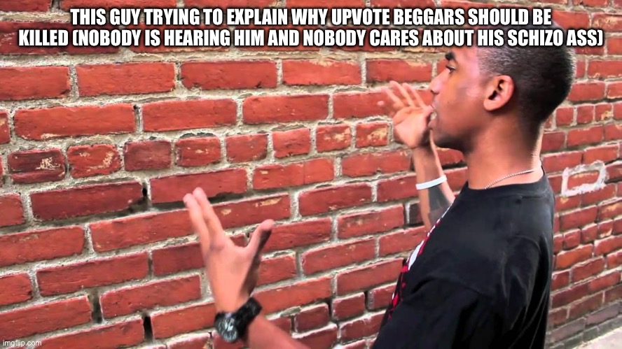 Brick wall | THIS GUY TRYING TO EXPLAIN WHY UPVOTE BEGGARS SHOULD BE KILLED (NOBODY IS HEARING HIM AND NOBODY CARES ABOUT HIS SCHIZO ASS) | image tagged in brick wall | made w/ Imgflip meme maker