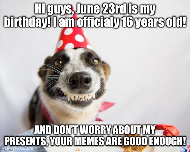 Happy Birthday to meh! | Hi guys, June 23rd is my birthday! I am officialy 16 years old! AND DON’T WORRY ABOUT MY PRESENTS, YOUR MEMES ARE GOOD ENOUGH! | image tagged in birthday dog,meems,dog,happy birthday | made w/ Imgflip meme maker