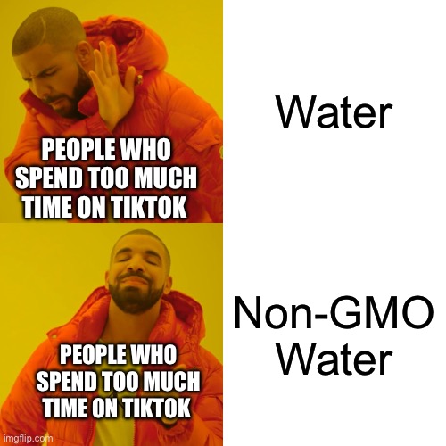 Get off TikTok | Water; PEOPLE WHO SPEND TOO MUCH TIME ON TIKTOK; Non-GMO Water; PEOPLE WHO SPEND TOO MUCH TIME ON TIKTOK | image tagged in memes,drake hotline bling,gmo,dumb | made w/ Imgflip meme maker