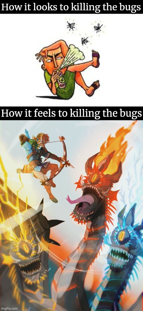 Just die already, bugs! | How it looks to killing the bugs; How it feels to killing the bugs | image tagged in funny,killing,bugs | made w/ Imgflip meme maker