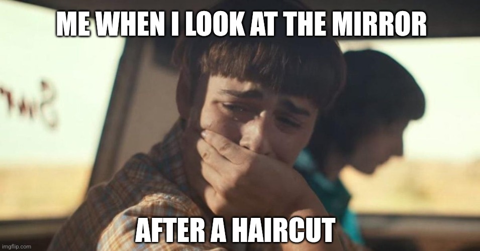 Looking at a mirror after a Haircut | ME WHEN I LOOK AT THE MIRROR; AFTER A HAIRCUT | image tagged in will byers crying,sad but true,sad,hair,bad haircut,not funny | made w/ Imgflip meme maker