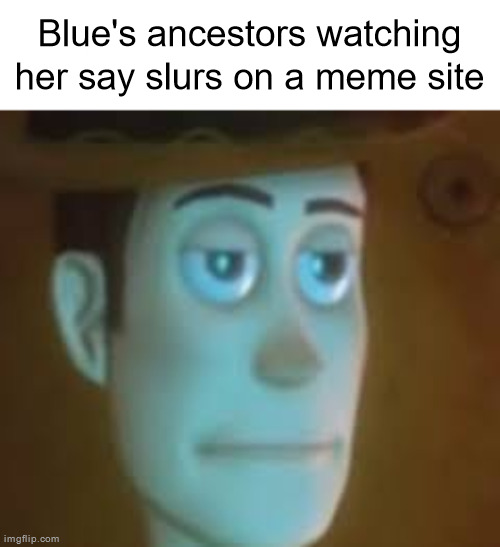 disappointed woody | Blue's ancestors watching her say slurs on a meme site | image tagged in disappointed woody | made w/ Imgflip meme maker