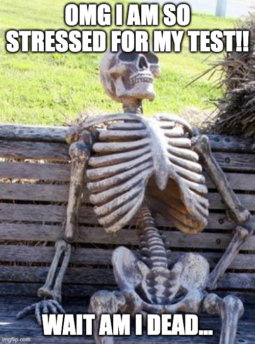 Waiting Skeleton Meme | OMG I AM SO STRESSED FOR MY TEST!! WAIT AM I DEAD... | image tagged in memes,waiting skeleton | made w/ Imgflip meme maker