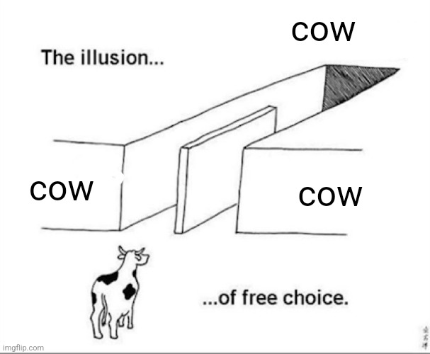 Illusion of free choice | cow; cow; cow | image tagged in illusion of free choice | made w/ Imgflip meme maker