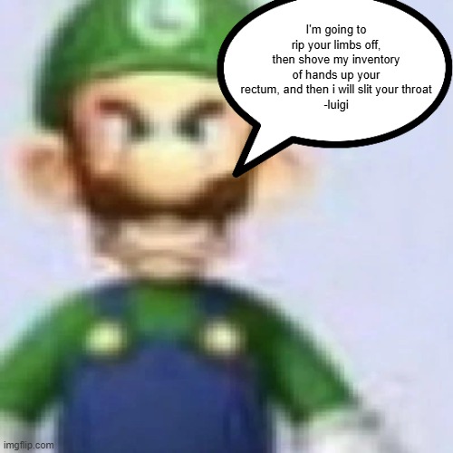 angry luigi | I'm going to rip your limbs off, then shove my inventory of hands up your rectum, and then i will slit your throat
-luigi | image tagged in angry luigi | made w/ Imgflip meme maker