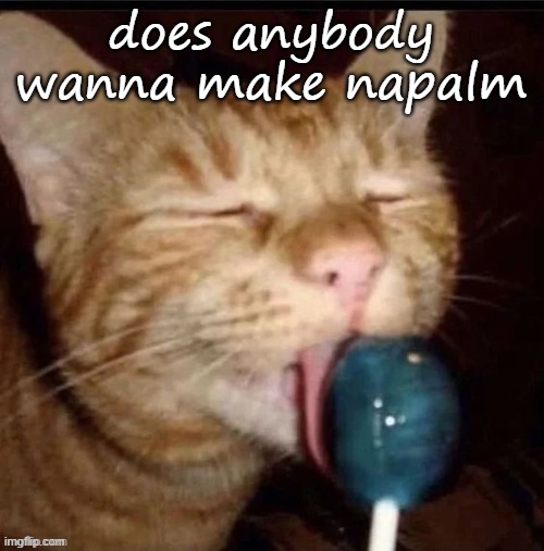 Silly goober 2 | does anybody wanna make napalm | image tagged in silly goober 2 | made w/ Imgflip meme maker