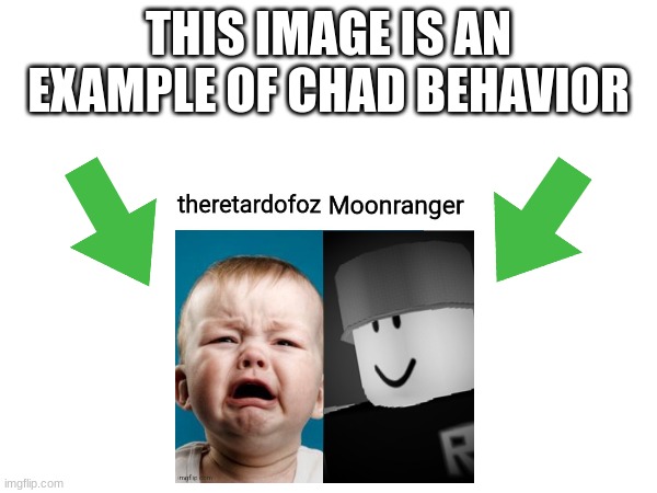 This image is an example of chad behavior | image tagged in this image is an example of chad behavior | made w/ Imgflip meme maker