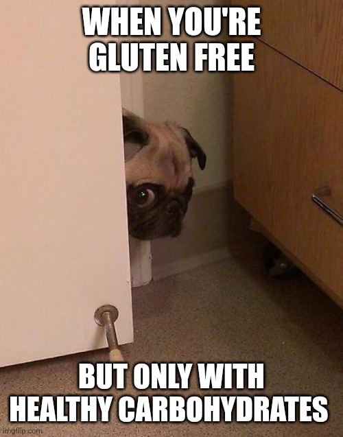 Gluten Free Truth | WHEN YOU'RE GLUTEN FREE; BUT ONLY WITH HEALTHY CARBOHYDRATES | image tagged in guilty pug | made w/ Imgflip meme maker