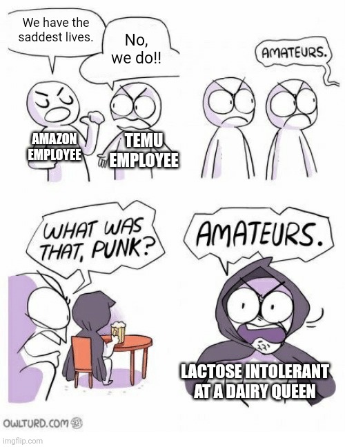 e | We have the saddest lives. No, we do!! AMAZON EMPLOYEE; TEMU EMPLOYEE; LACTOSE INTOLERANT AT A DAIRY QUEEN | image tagged in amateurs | made w/ Imgflip meme maker