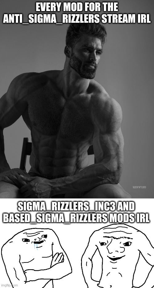 EVERY MOD FOR THE ANTI_SIGMA_RIZZLERS STREAM IRL; SIGMA_RIZZLERS_INC3 AND BASED_SIGMA_RIZZLERS MODS IRL | image tagged in giga chad,brainlets wojaks | made w/ Imgflip meme maker