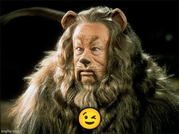 cowardly lion | ? | image tagged in cowardly lion | made w/ Imgflip meme maker