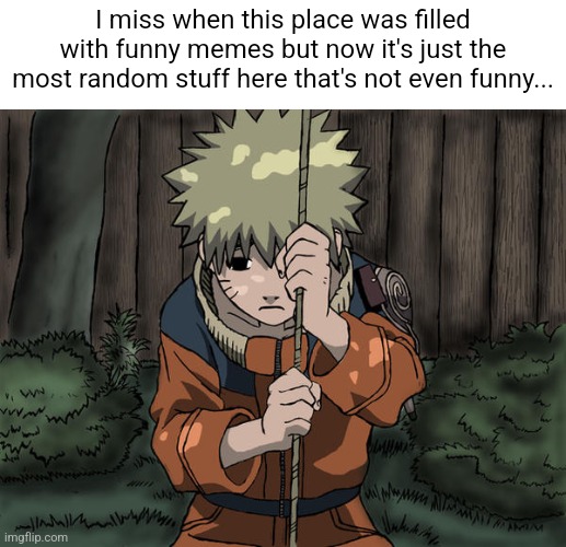 Back when I first got owner... | I miss when this place was filled with funny memes but now it's just the most random stuff here that's not even funny... | image tagged in naruto sad,facts,sad,sad but true,anime,naruto | made w/ Imgflip meme maker