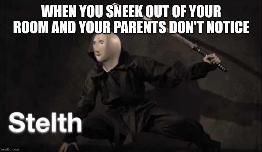 Living with parents be like | WHEN YOU SNEEK OUT OF YOUR ROOM AND YOUR PARENTS DON'T NOTICE | image tagged in stealth | made w/ Imgflip meme maker
