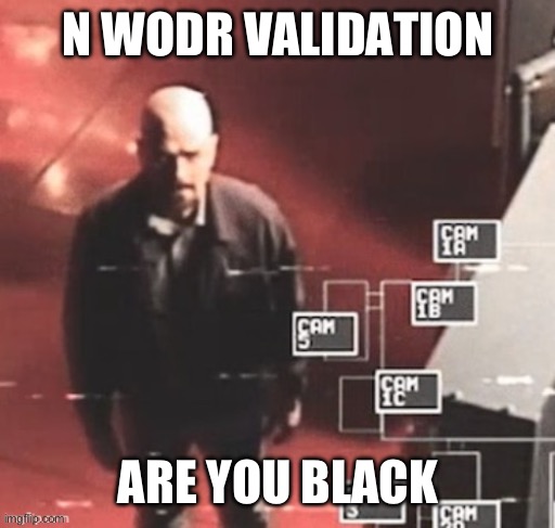 N WODR VALIDATION; ARE YOU BLACK | image tagged in walt on cams | made w/ Imgflip meme maker