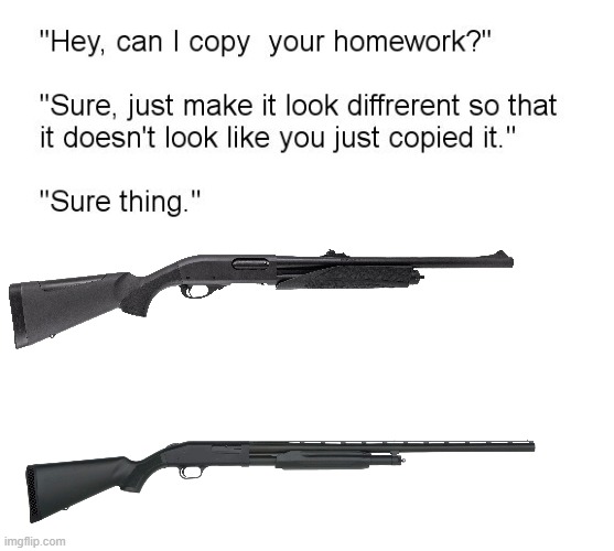 Top one is Model 870, bottom is Mossberg 500 (MSMG USER REFERENCE?!!?) | image tagged in hey can i copy your homework | made w/ Imgflip meme maker