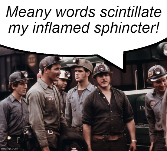 Coal Miners | Meany words scintillate my inflamed sphincter! | image tagged in coal miners | made w/ Imgflip meme maker