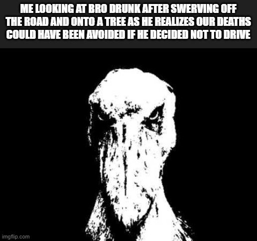 Black and white shoebill | ME LOOKING AT BRO DRUNK AFTER SWERVING OFF THE ROAD AND ONTO A TREE AS HE REALIZES OUR DEATHS COULD HAVE BEEN AVOIDED IF HE DECIDED NOT TO DRIVE | image tagged in black and white shoebill,memes,dark humor,oh god why | made w/ Imgflip meme maker