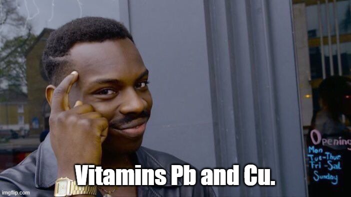 Roll Safe Think About It Meme | Vitamins Pb and Cu. | image tagged in memes,roll safe think about it | made w/ Imgflip meme maker