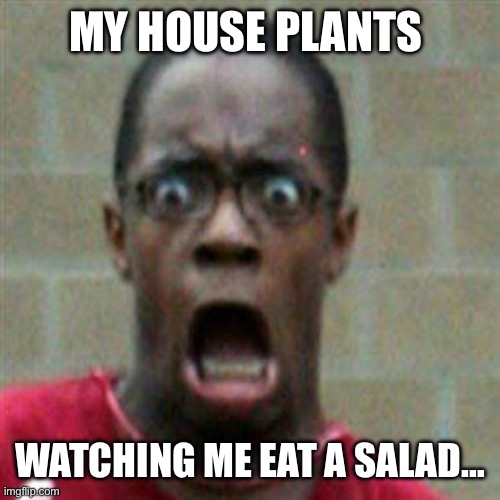 scared face | MY HOUSE PLANTS; WATCHING ME EAT A SALAD… | image tagged in scared face | made w/ Imgflip meme maker