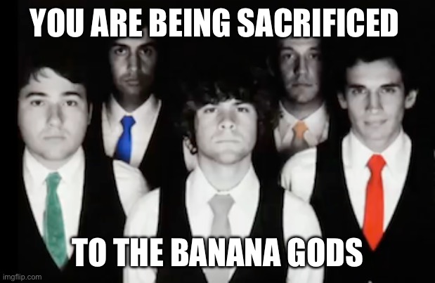HELP | YOU ARE BEING SACRIFICED; TO THE BANANA GODS | image tagged in tally hall staring into your soul | made w/ Imgflip meme maker