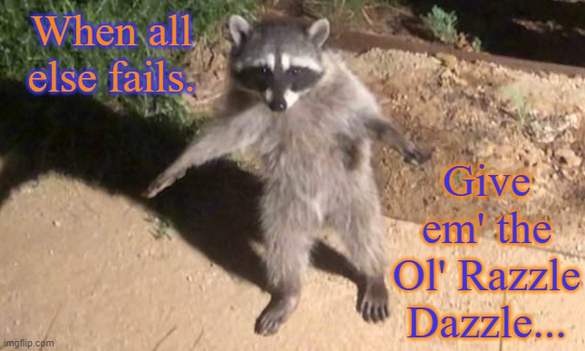 raccoon | When all else fails. Give em' the Ol' Razzle Dazzle... | image tagged in funny memes | made w/ Imgflip meme maker