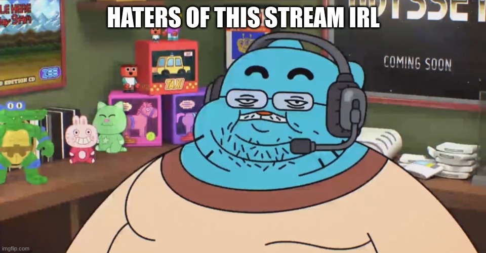 This stream is a skibidi sigma stream | HATERS OF THIS STREAM IRL | image tagged in discord moderator | made w/ Imgflip meme maker