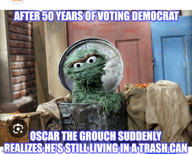 AFTER 50 YEARS OF VOTING DEMOCRAT OSCAR THE GROUCH SUDDENLY REALIZES HE'S STILL LIVING IN A TRASH CAN | made w/ Imgflip meme maker