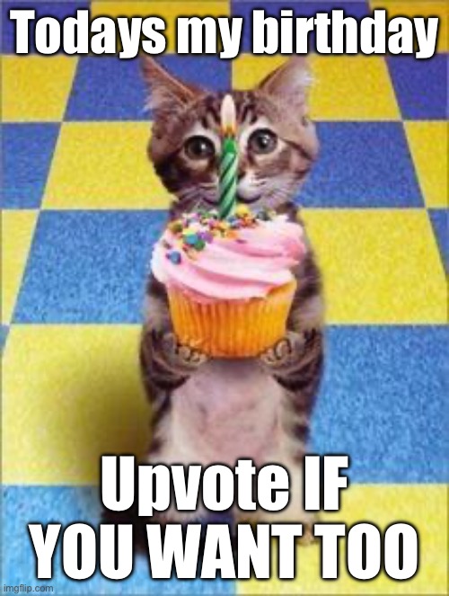 ? | Todays my birthday; Upvote IF YOU WANT TOO | image tagged in happy birthday cat | made w/ Imgflip meme maker