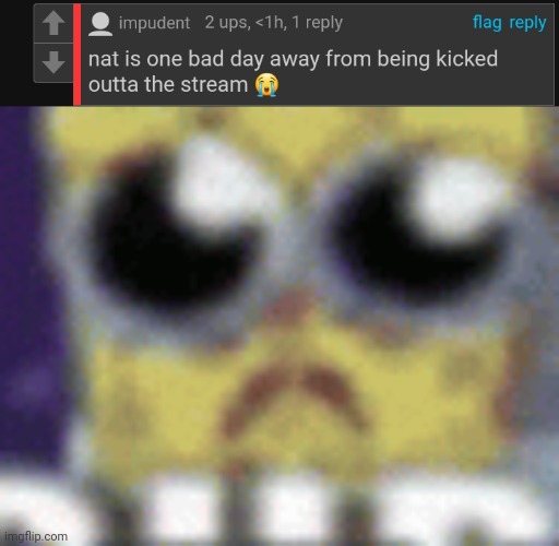 What does this mean | image tagged in sad spunch | made w/ Imgflip meme maker