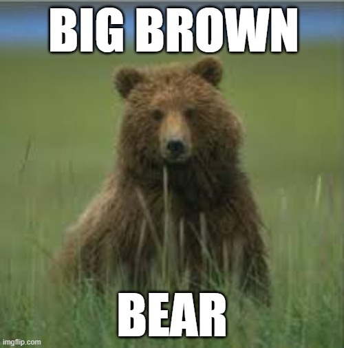 You remember this game from Starfall? | BIG BROWN; BEAR | image tagged in meme,bear | made w/ Imgflip meme maker