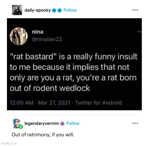Rat | image tagged in rats | made w/ Imgflip meme maker