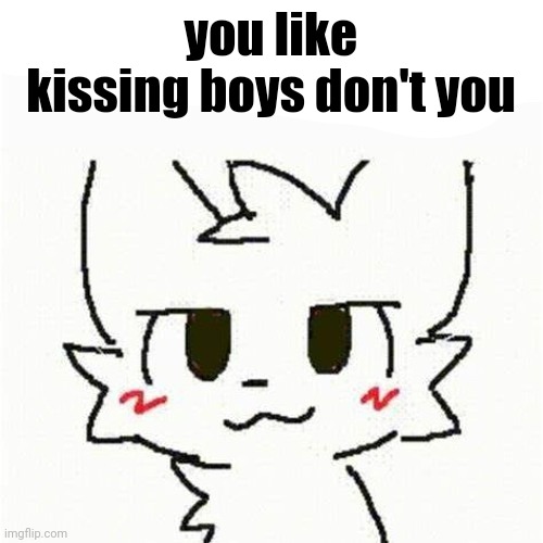 boykisser | you like kissing boys don't you | image tagged in boykisser | made w/ Imgflip meme maker