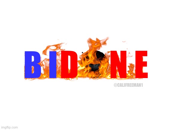 Biden’s done come November… | D     N E; B I; @CALJFREEMAN1 | image tagged in blank white template,joe biden,maga,republicans,donald trump,presidential race | made w/ Imgflip meme maker