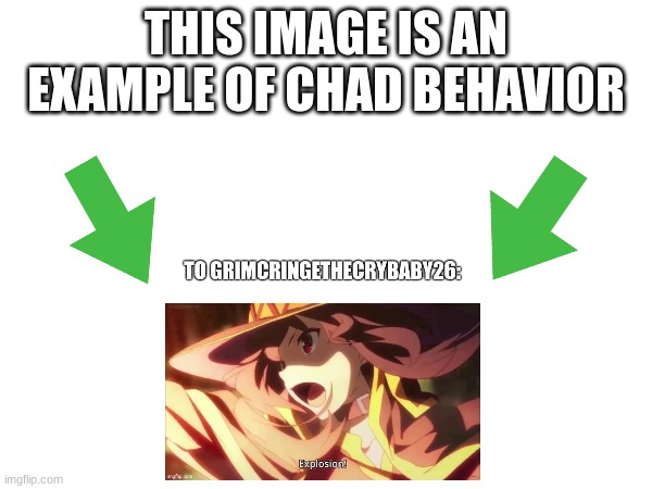 This image is an example of chad behavior | image tagged in this image is an example of chad behavior | made w/ Imgflip meme maker