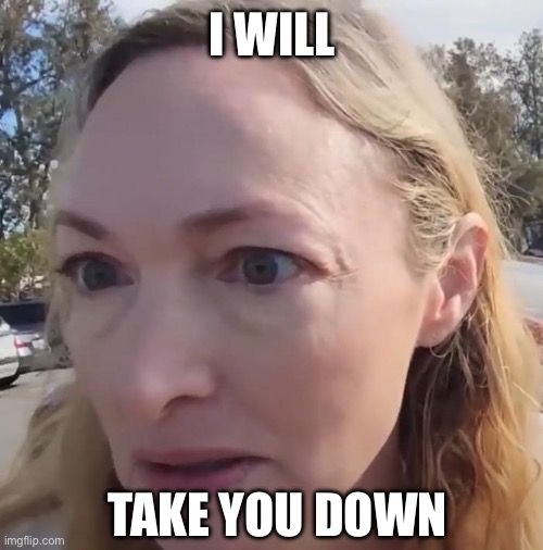 I will take you down | I WILL; TAKE YOU DOWN | image tagged in funny,threats | made w/ Imgflip meme maker