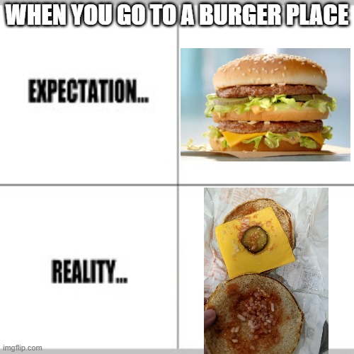 Expectation vs Reality | WHEN YOU GO TO A BURGER PLACE | image tagged in expectation vs reality | made w/ Imgflip meme maker