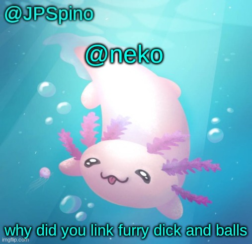 JPSpino's axolotl temp updated | @neko; why did you link furry dick and balls | image tagged in jpspino's axolotl temp updated | made w/ Imgflip meme maker
