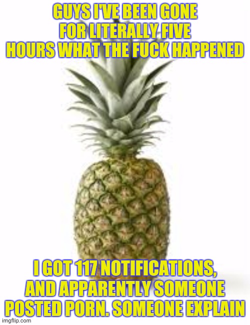 Sethamphetamine announcement temp | GUYS I'VE BEEN GONE FOR LITERALLY FIVE HOURS WHAT THE FUCK HAPPENED; I GOT 117 NOTIFICATIONS, AND APPARENTLY SOMEONE POSTED PORN. SOMEONE EXPLAIN | image tagged in sethamphetamine announcement temp | made w/ Imgflip meme maker