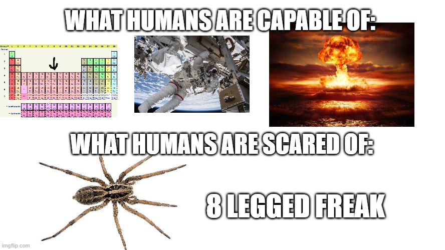 what were scared of.... | WHAT HUMANS ARE CAPABLE OF:; WHAT HUMANS ARE SCARED OF:; 8 LEGGED FREAK | image tagged in relatable memes,funny | made w/ Imgflip meme maker