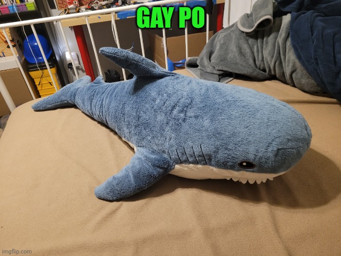 Gay po is today's theme apparently | GAY PO | image tagged in my blahaj | made w/ Imgflip meme maker