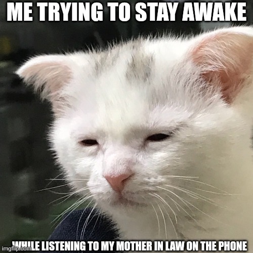 I'm awake, but at what cost? | ME TRYING TO STAY AWAKE; WHILE LISTENING TO MY MOTHER IN LAW ON THE PHONE | image tagged in i'm awake but at what cost | made w/ Imgflip meme maker