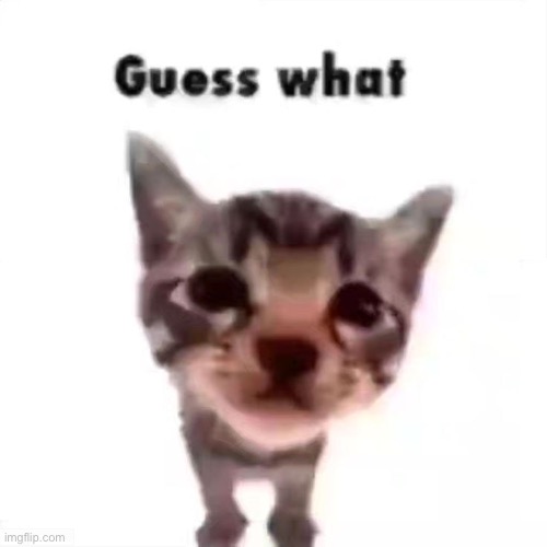 check comments | made w/ Imgflip meme maker