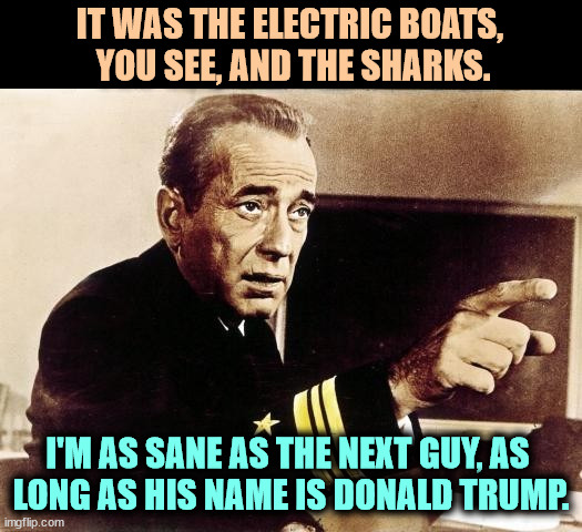 And washing machines. Don't forget the washing machines. They were rigged against me too. | IT WAS THE ELECTRIC BOATS, 
YOU SEE, AND THE SHARKS. I'M AS SANE AS THE NEXT GUY, AS 
LONG AS HIS NAME IS DONALD TRUMP. | image tagged in captain queeg,electric boats,sharks,insane,trump | made w/ Imgflip meme maker