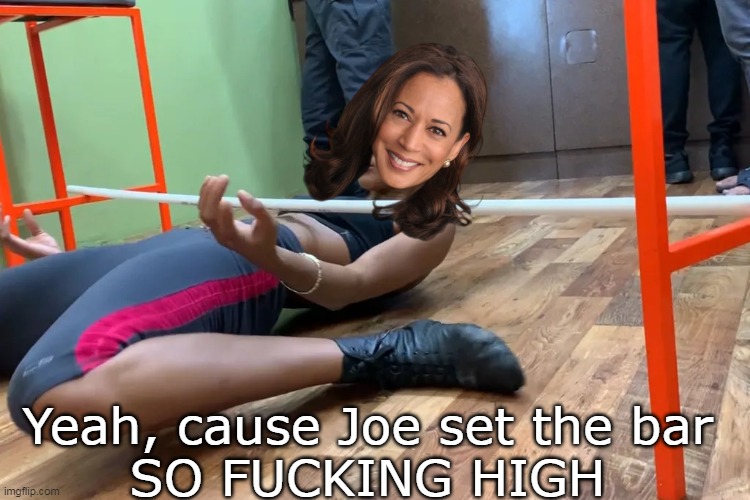 Yeah, cause Joe set the bar
SO FUCKING HIGH | made w/ Imgflip meme maker