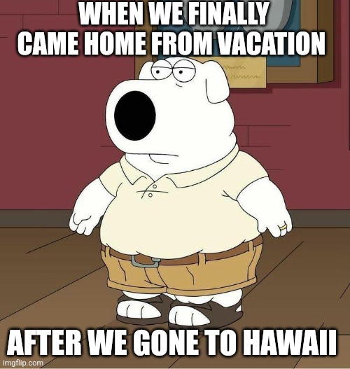 Family Guy | WHEN WE FINALLY CAME HOME FROM VACATION; AFTER WE GONE TO HAWAII | image tagged in brian griffin | made w/ Imgflip meme maker
