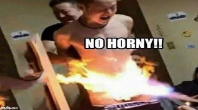 NO HORNY!! | image tagged in no horny | made w/ Imgflip meme maker